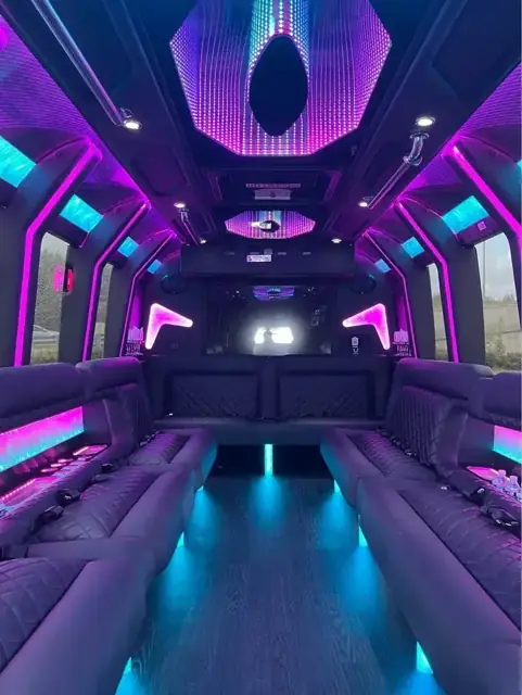 Large Party Bus: LED and fiber optic lighting